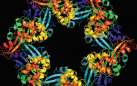 molecules 3